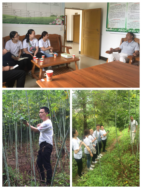化工与化学学院实践团在合兴村村委、甜茶种植地进行采样调研